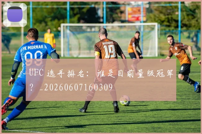 UFC 选手排名:谁是目前量级冠军?_20260607160309
