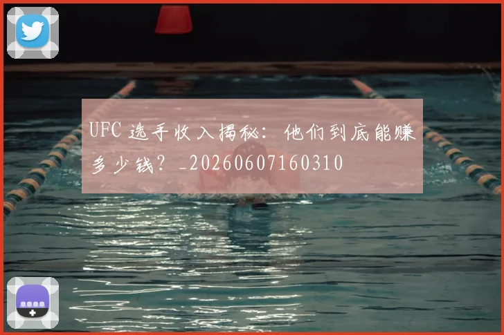 UFC 选手收入揭秘:他们到底能赚多少钱?_20260607160310